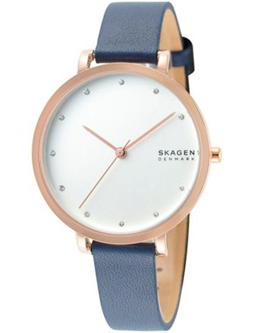 Skagen-SKW7207