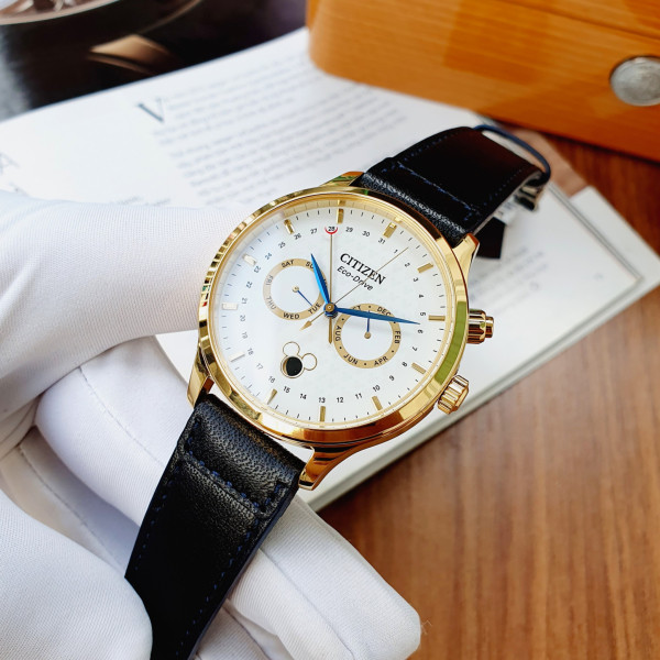 Citizen AP1058-11W