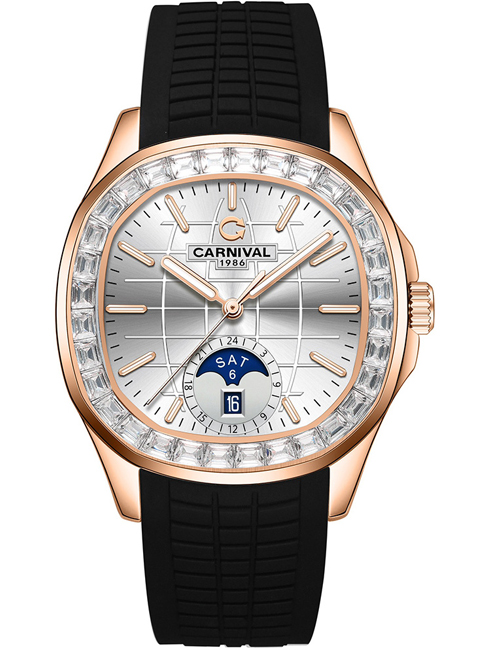 Carnival 8113G2